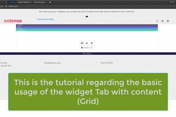 Tab with contents(grid) Widget