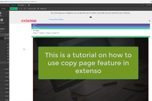 Copy page in Extenso