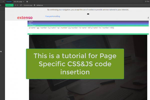Insertion of CSS/JS code in Extenso