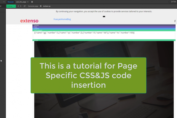 Insertion de code CSS / JS dans Extenso