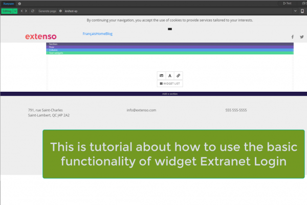 Extranet login widget